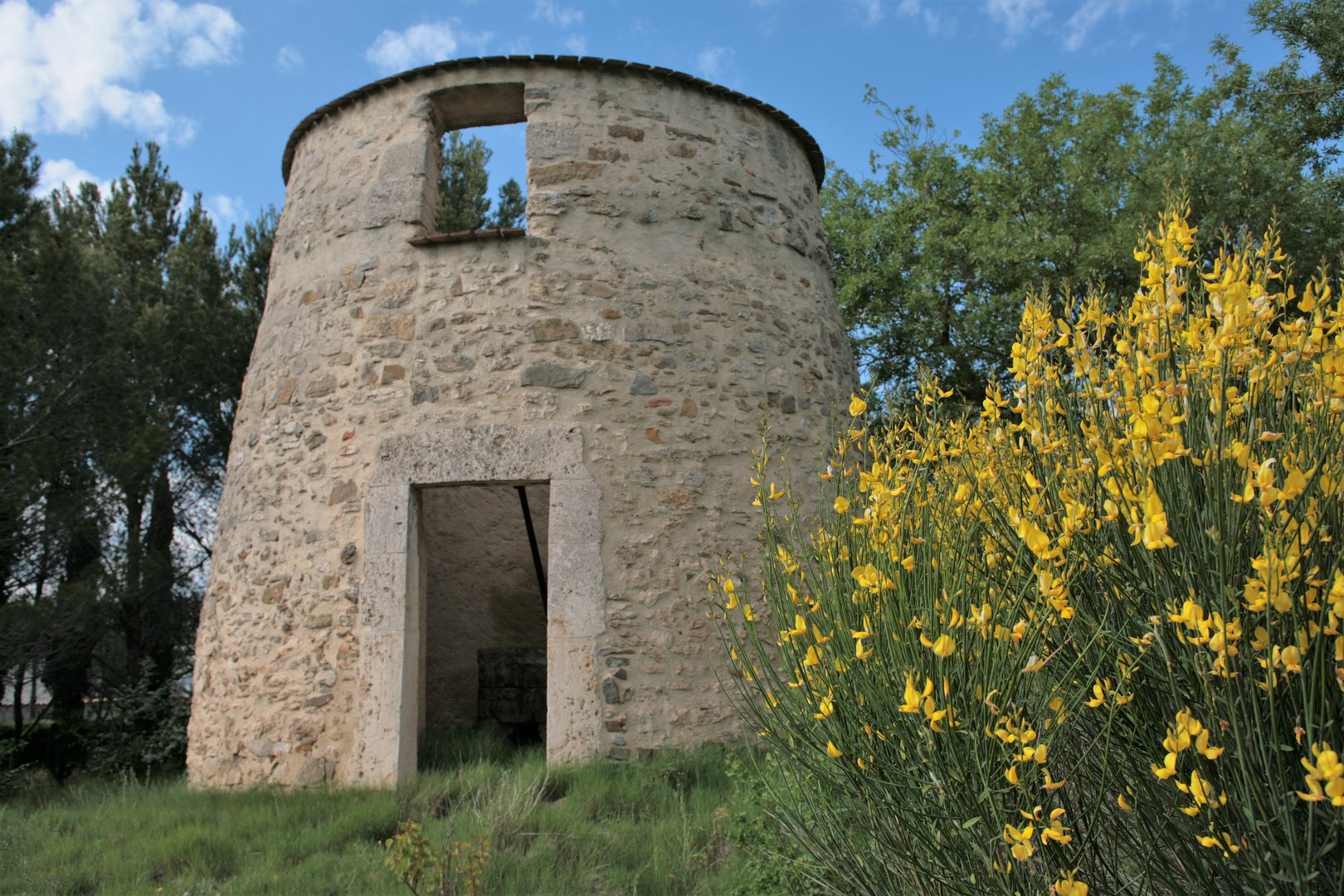 LE MOULIN (Copier)