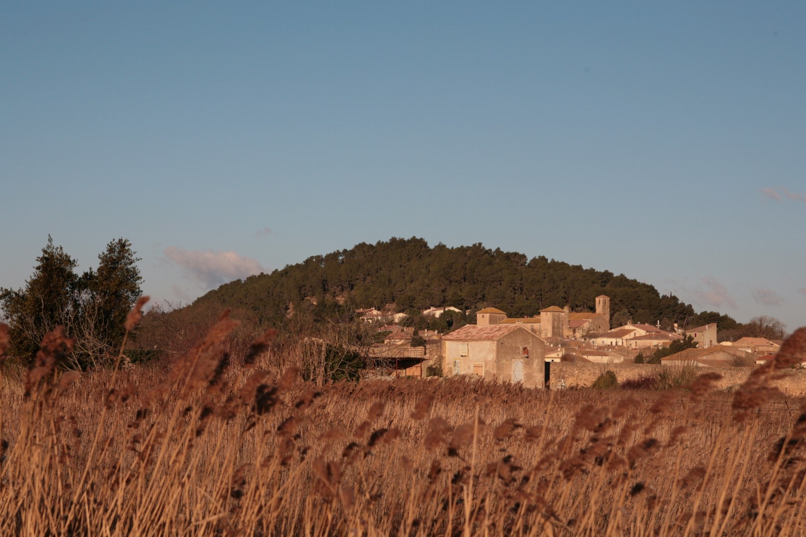 VILLAGE ET ROSEAUX (Copier)